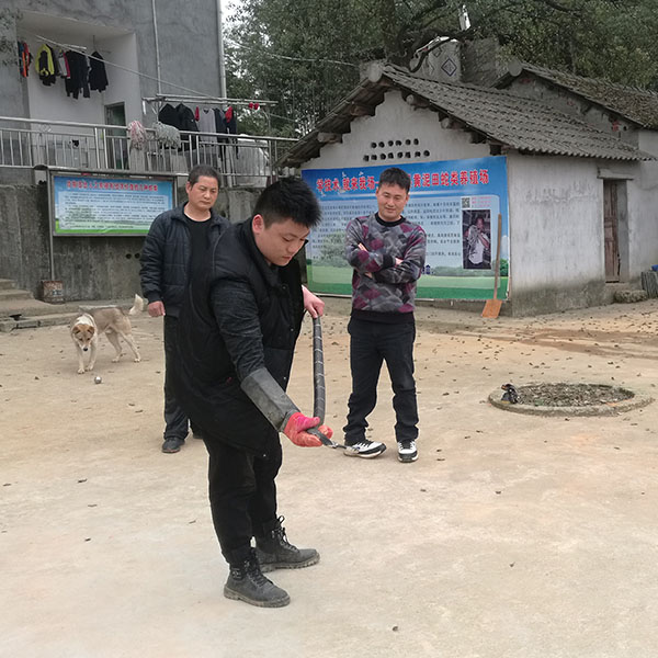 在本场学习的部分学员