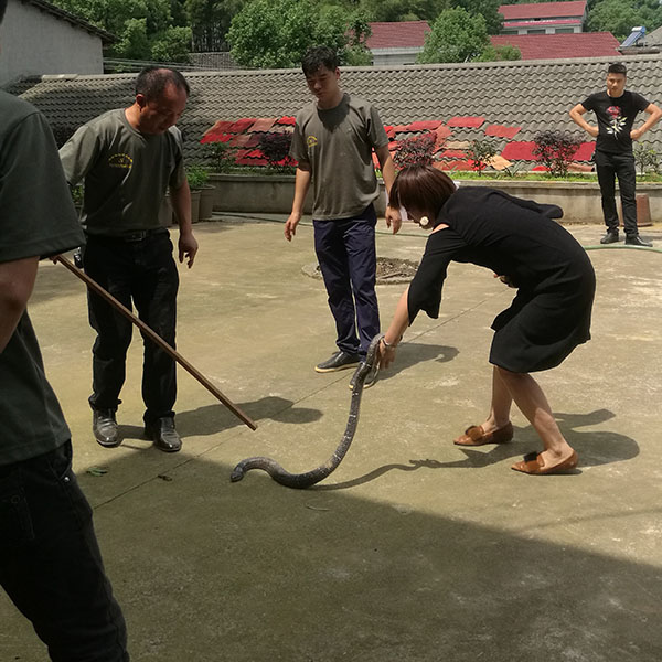 在本场学习的部分学员